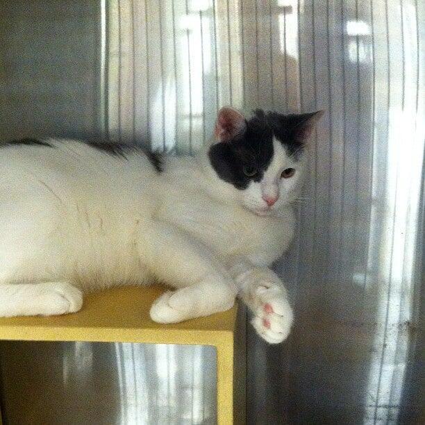 Photo credit: nextdoor