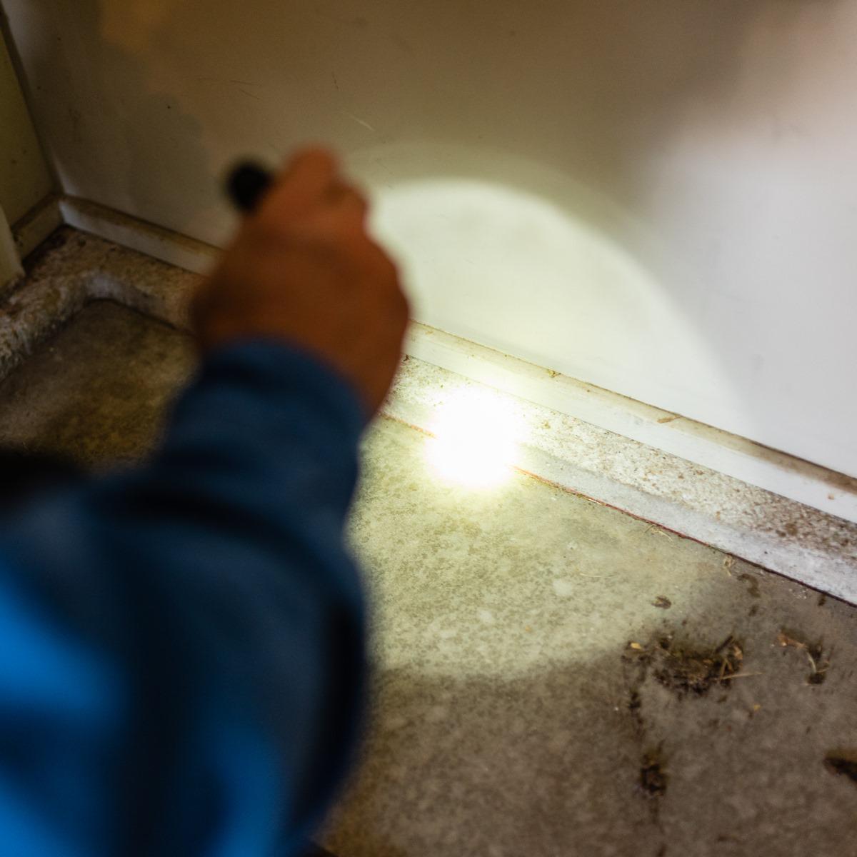 Photo credit: nextdoor