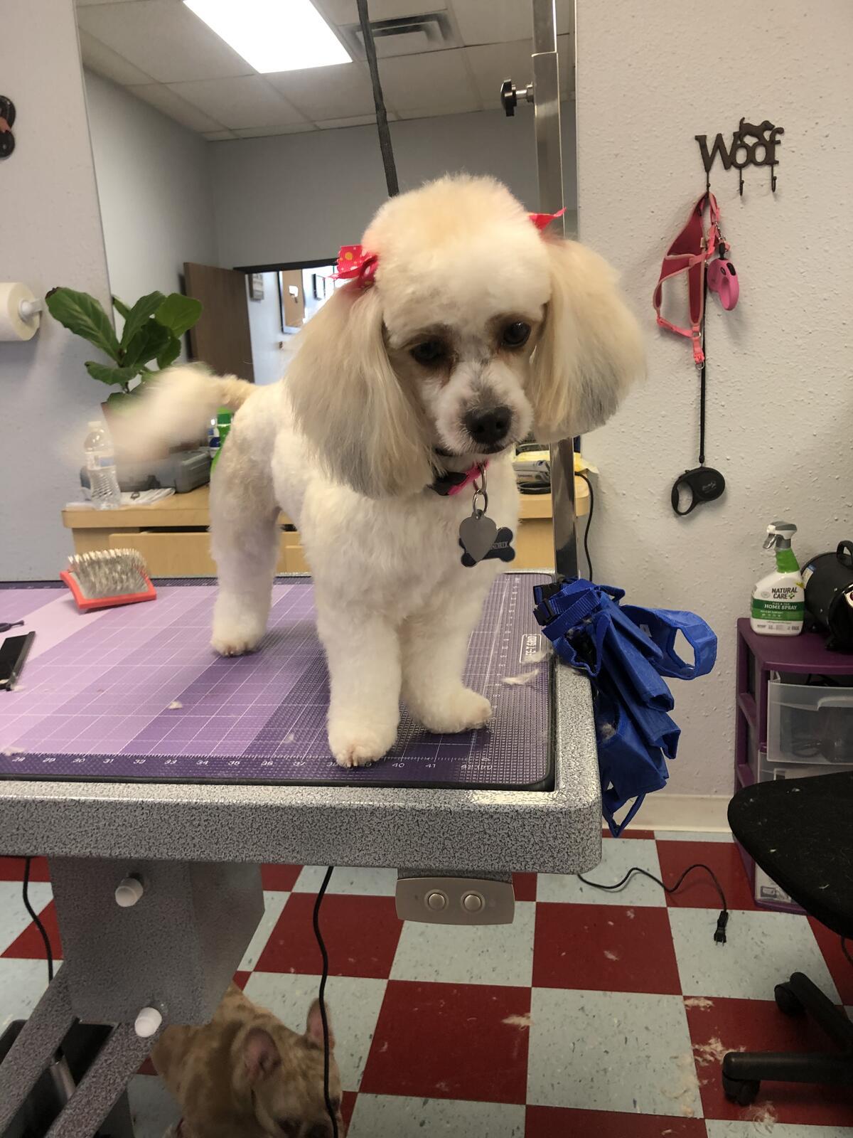 Photo credit: nextdoor