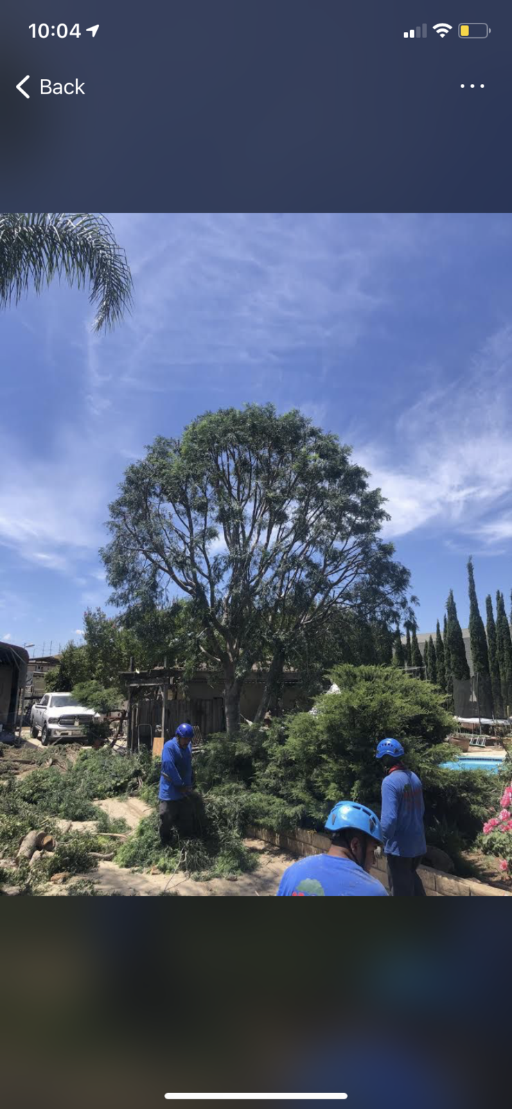 Photo credit: nextdoor