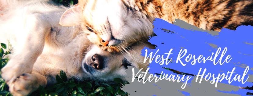 West Roseville Veterinary Hospital