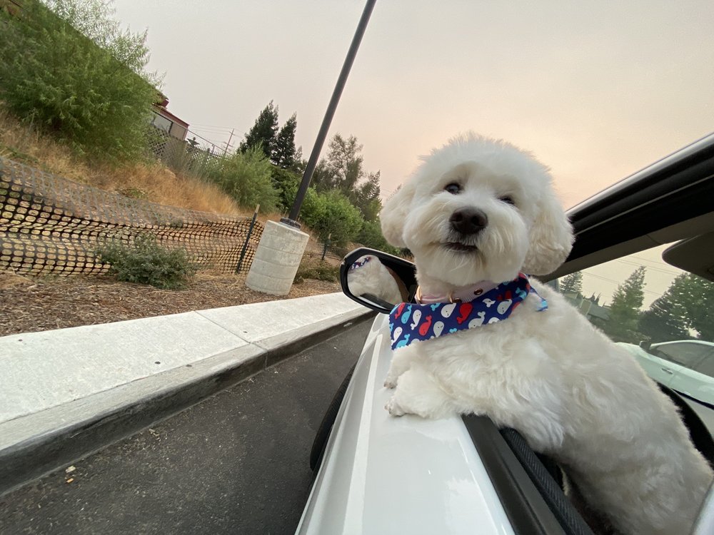 Photo credit: 