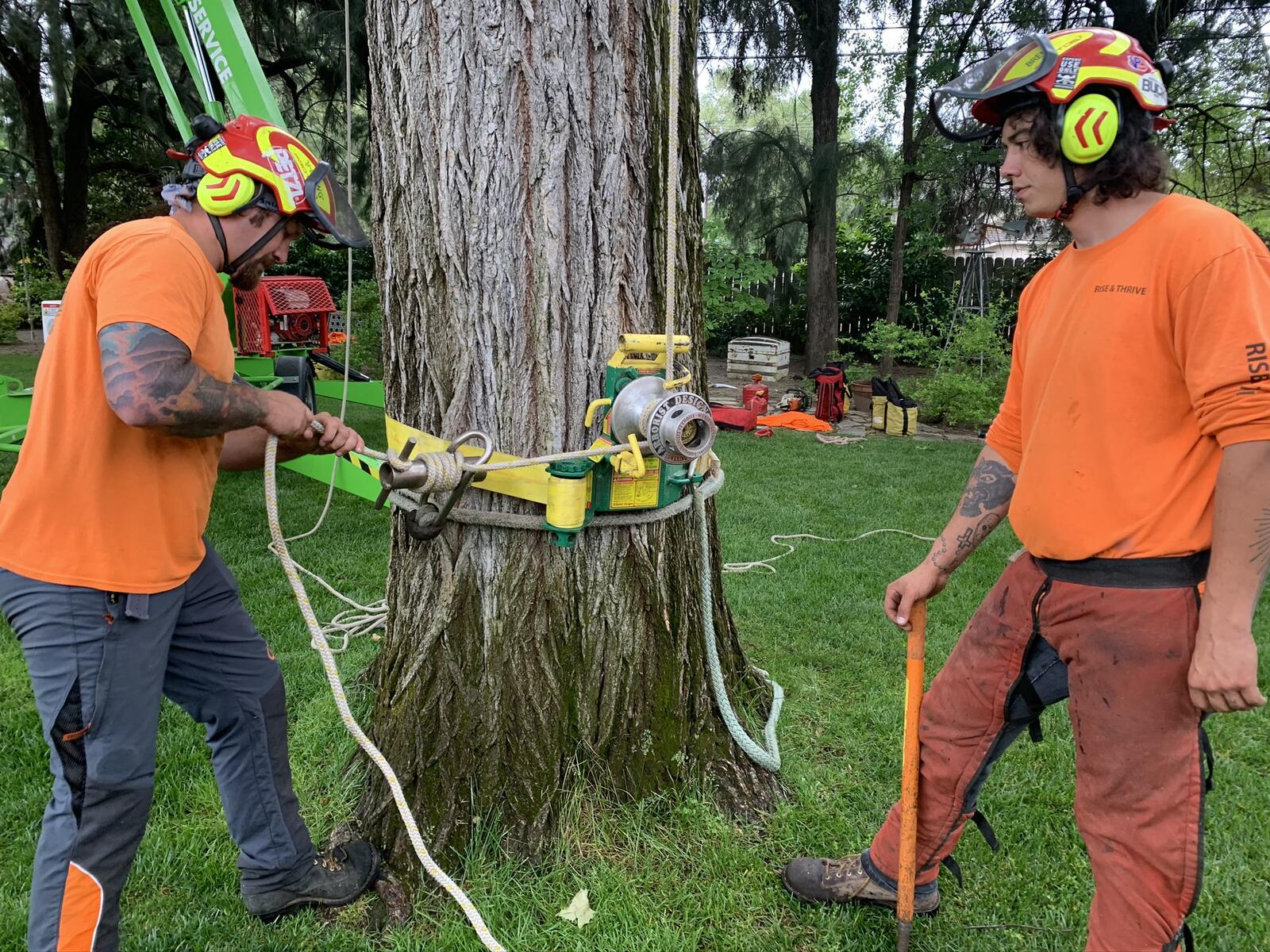 Photo credit: nextdoor