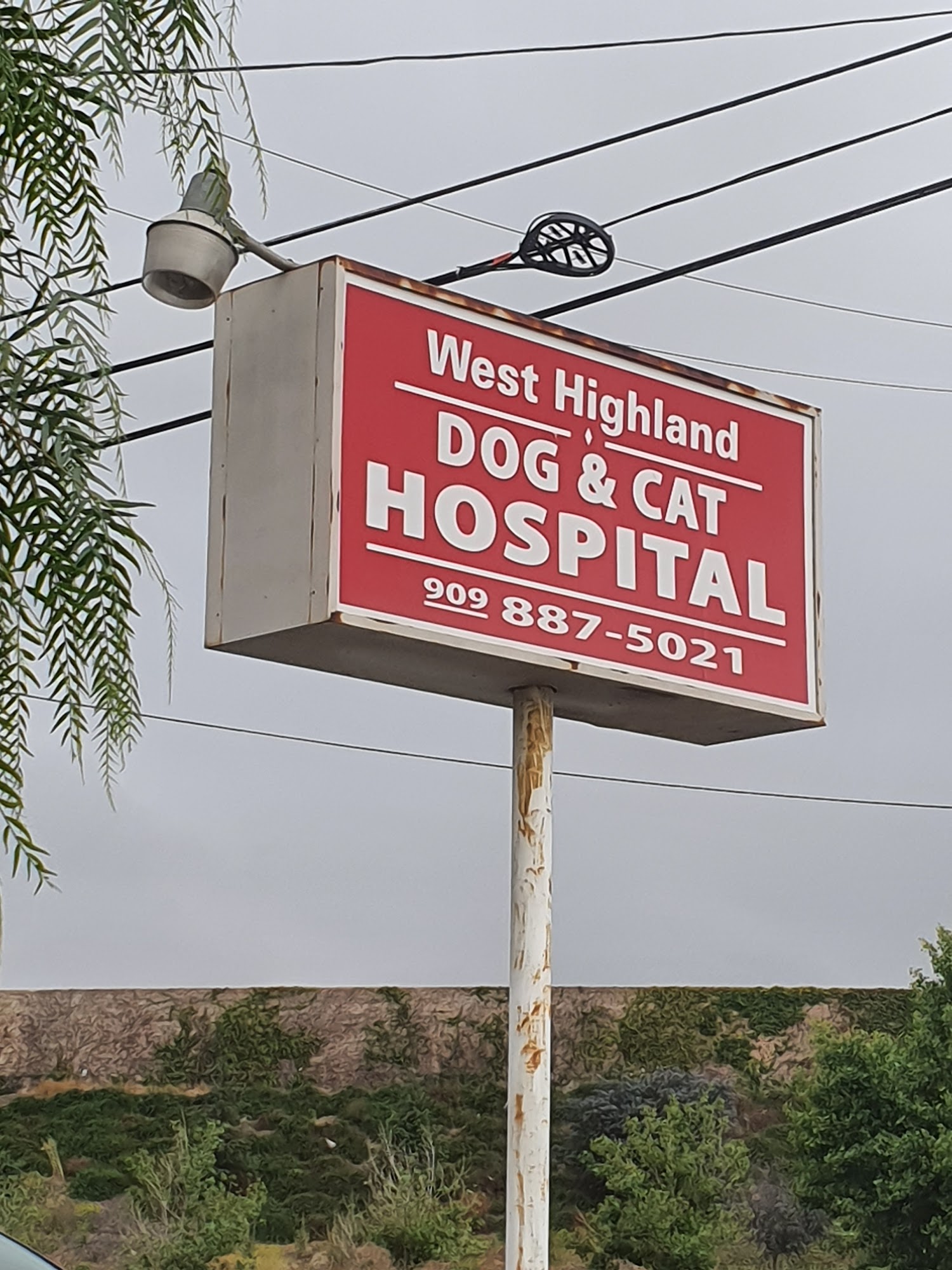 West Highland Dog & Cat Hospital