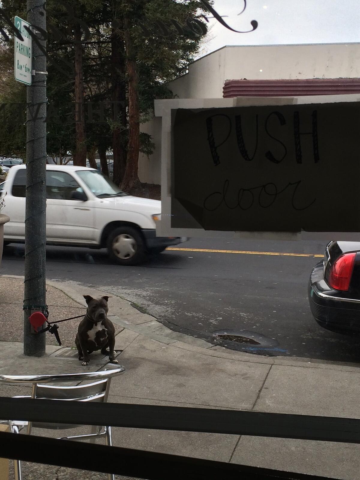 Photo credit: nextdoor