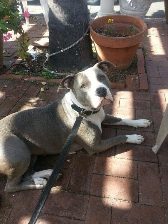 Photo credit: nextdoor