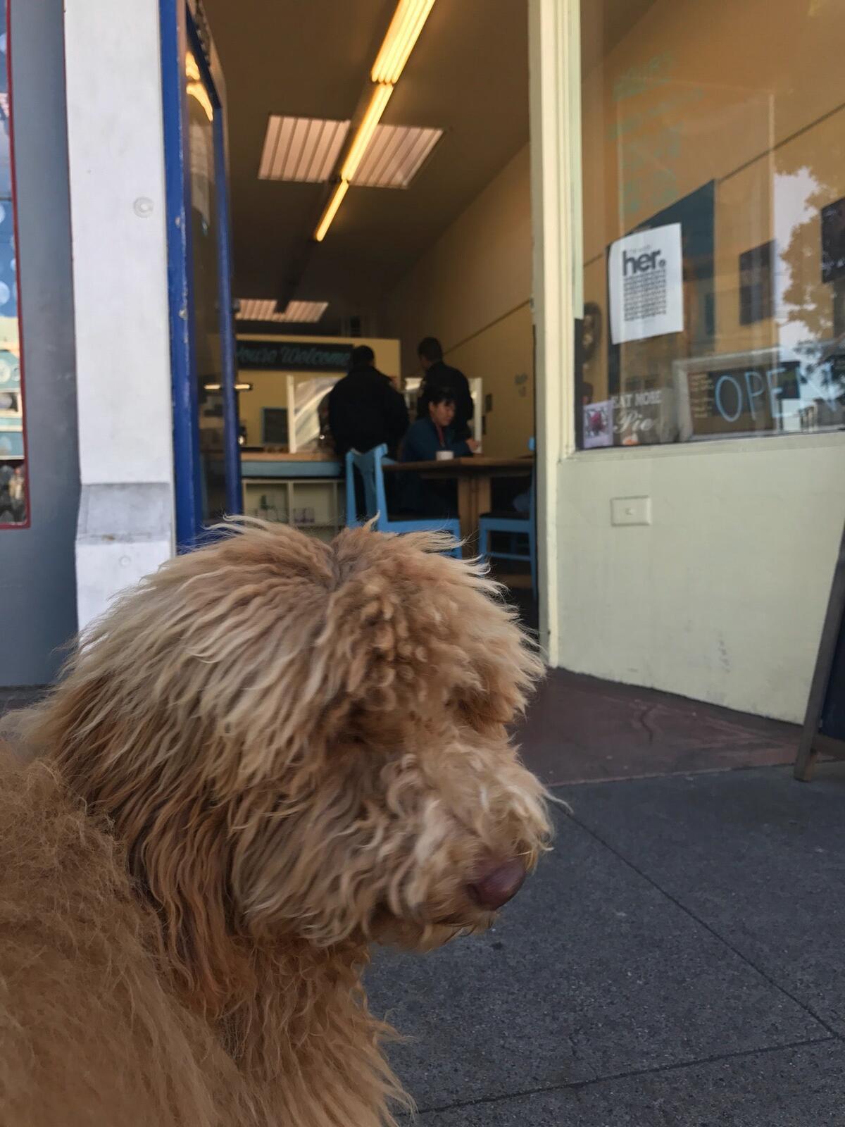 Photo credit: nextdoor