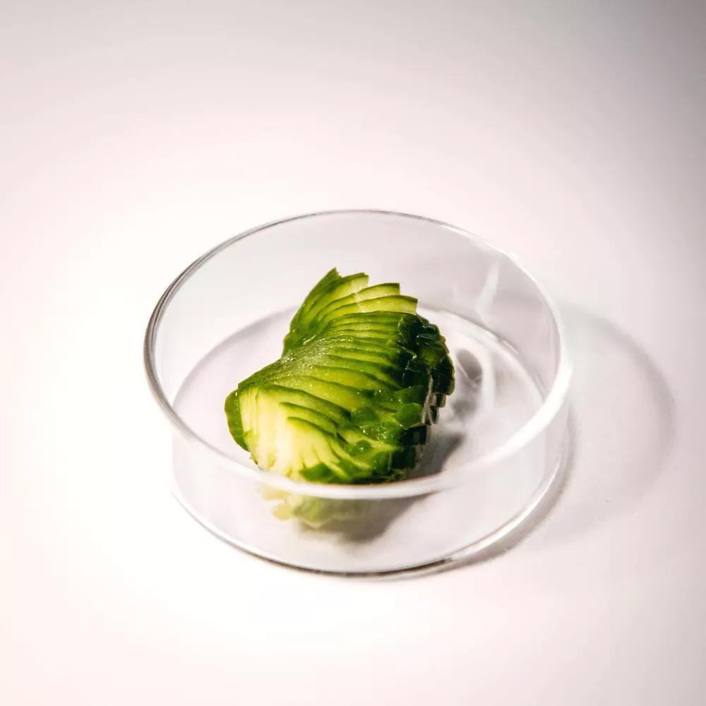 Photo credit: michelin