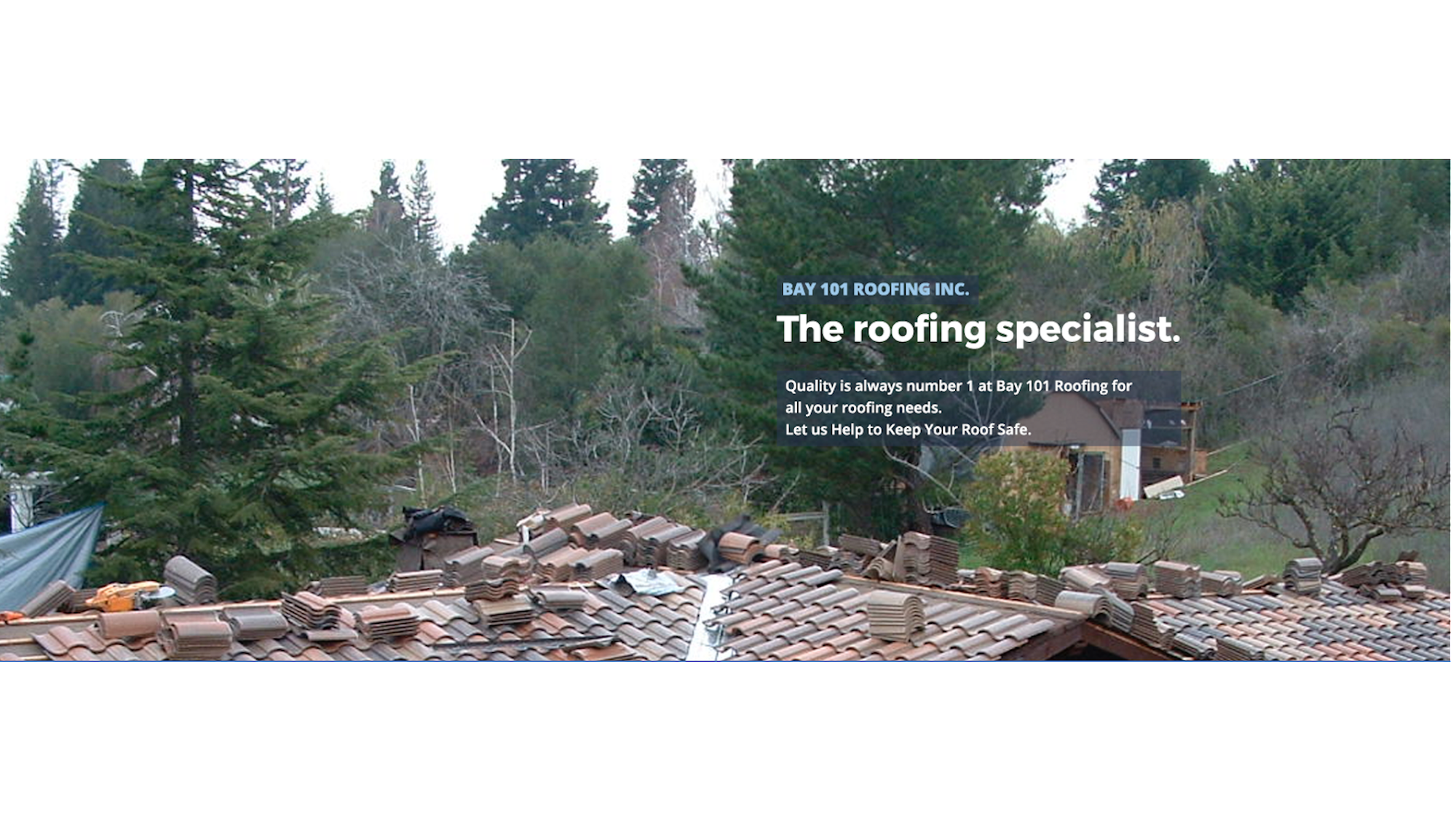 Bay 101 Roofing