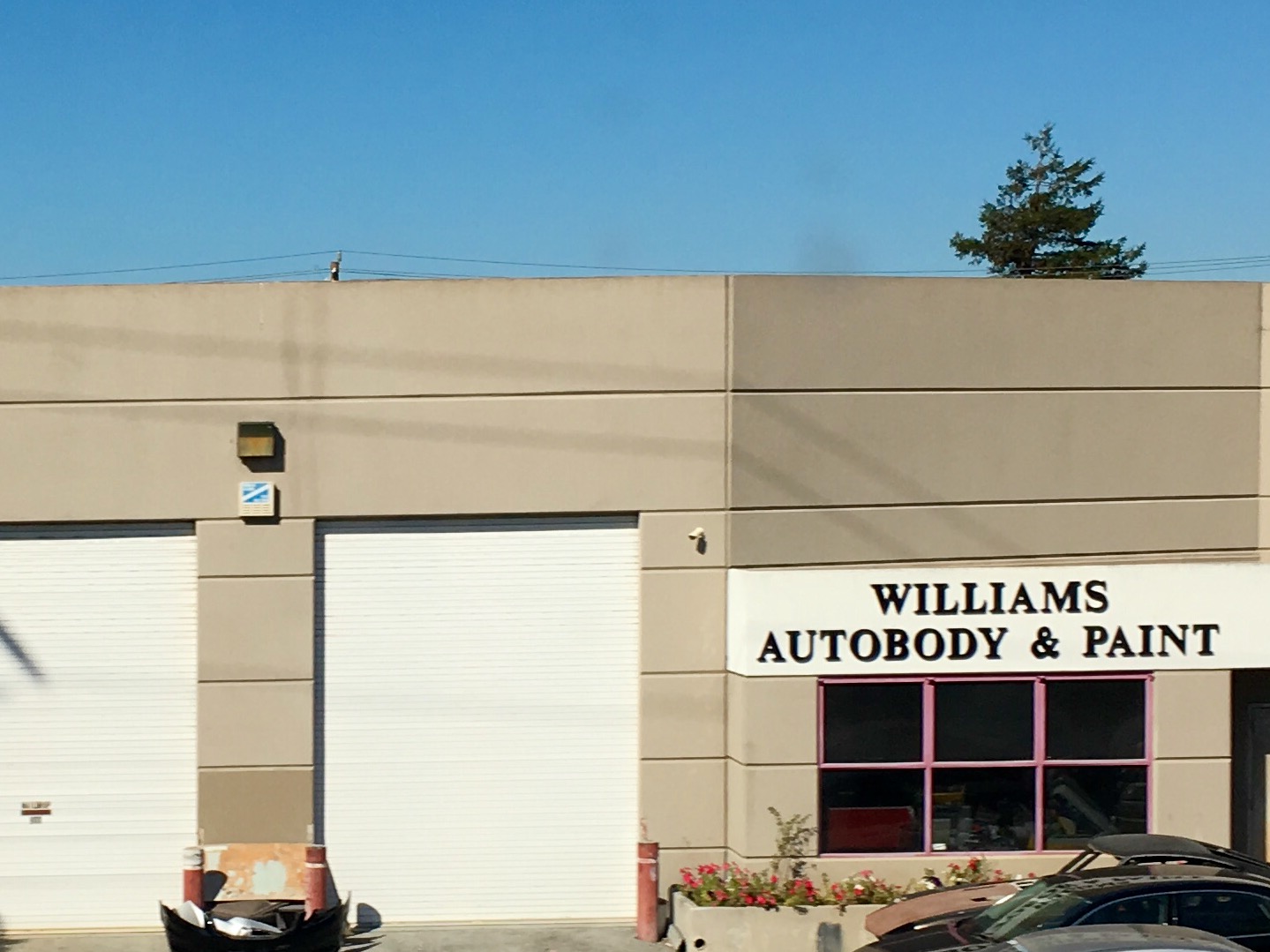 Williams Auto Body & Paint
