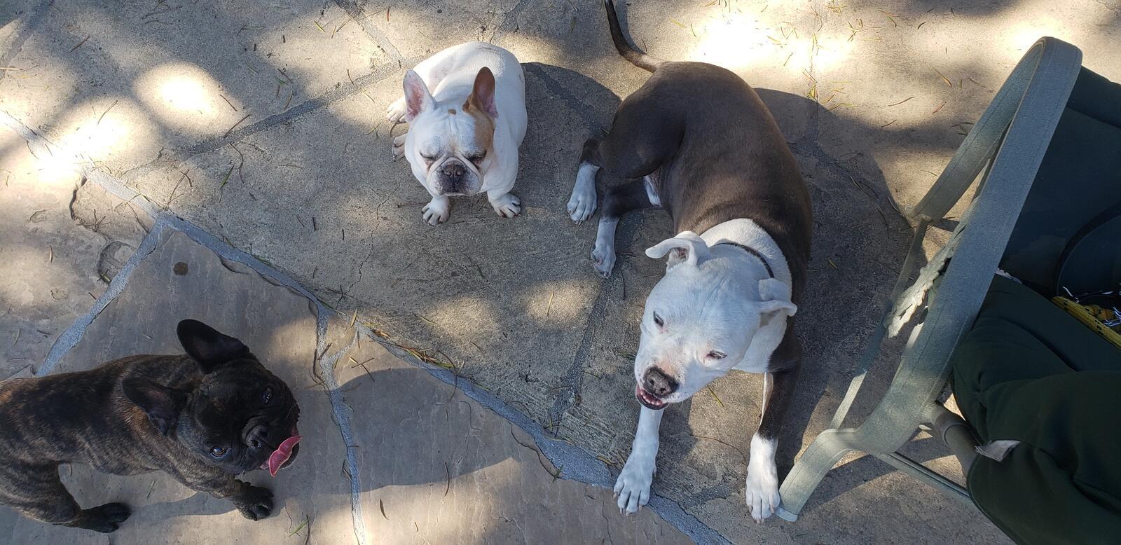 Photo credit: nextdoor