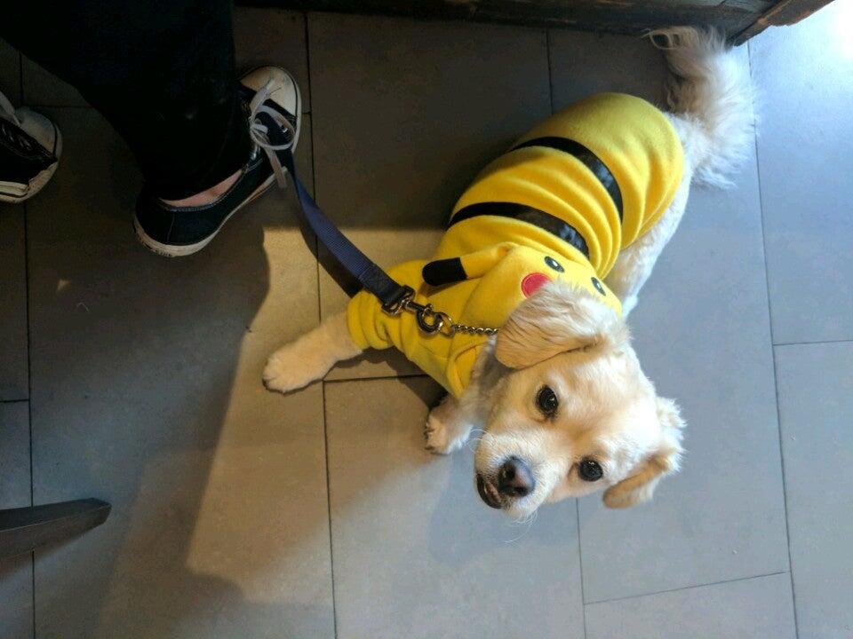 Photo credit: nextdoor