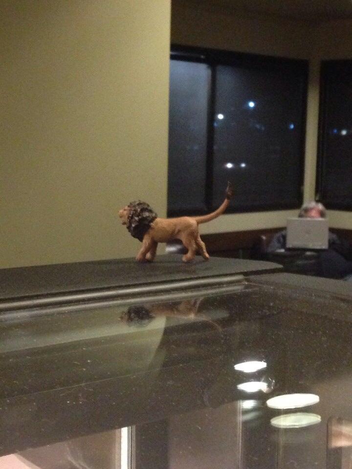 Photo credit: nextdoor