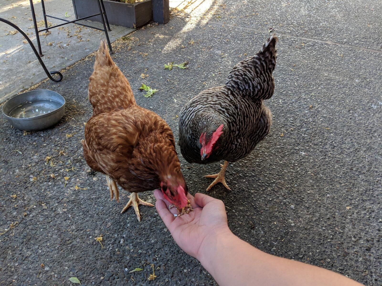 Photo credit: nextdoor