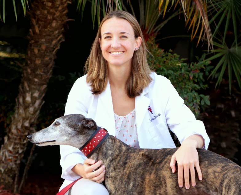 Dr. Meghan McIntosh, VMD, at Rancho Santa Fe Veterinary Hospital of Solana Beach
