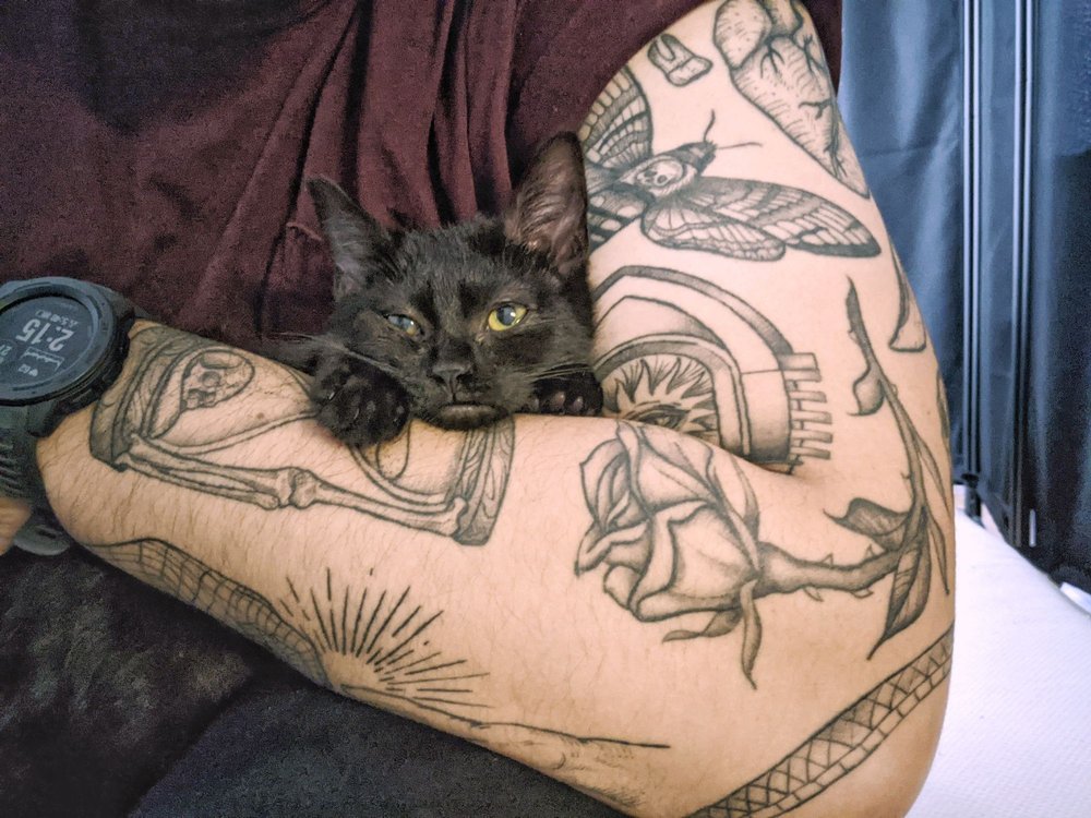 Photo credit: 