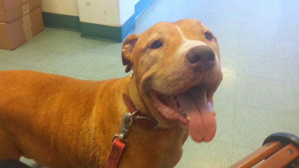 Photo credit: nextdoor