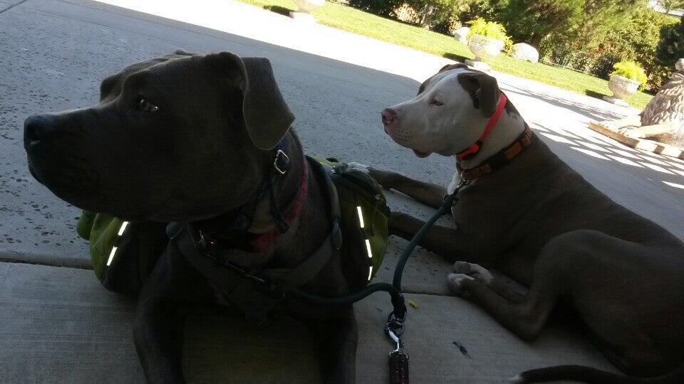 Photo credit: nextdoor