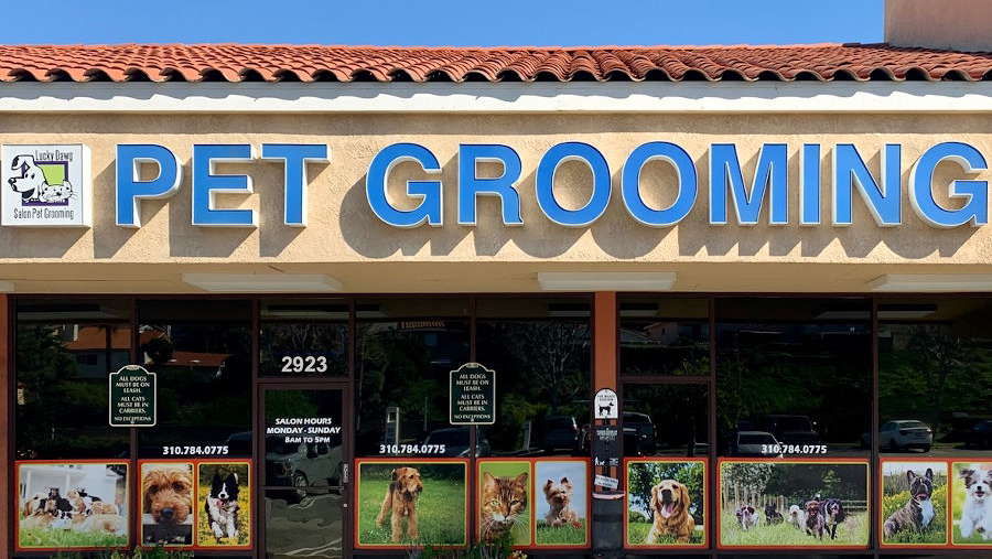 Lucky Dawg Salon Pet Grooming