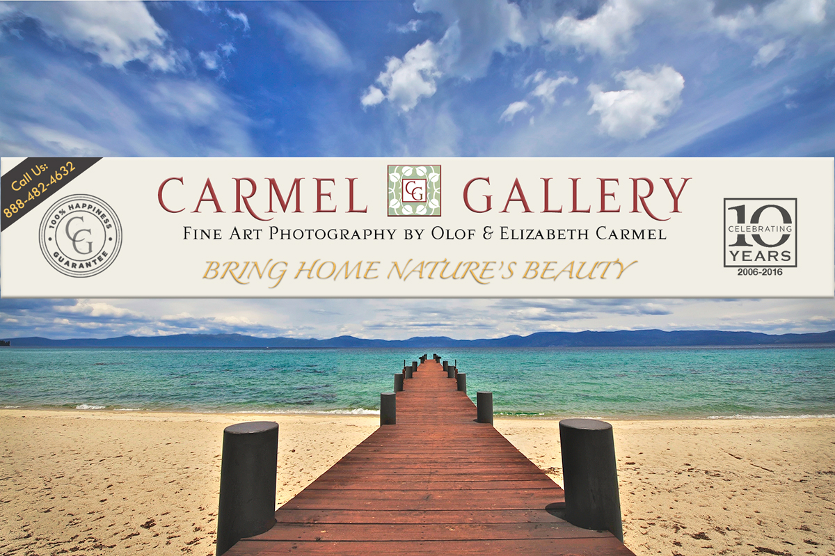 The Carmel Gallery in Truckee