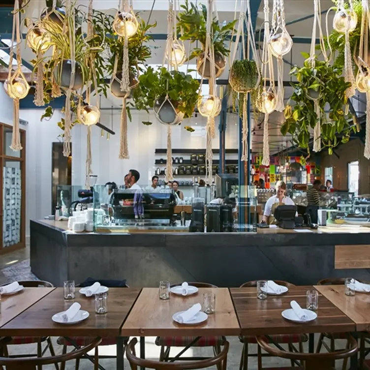 Photo credit: opentable