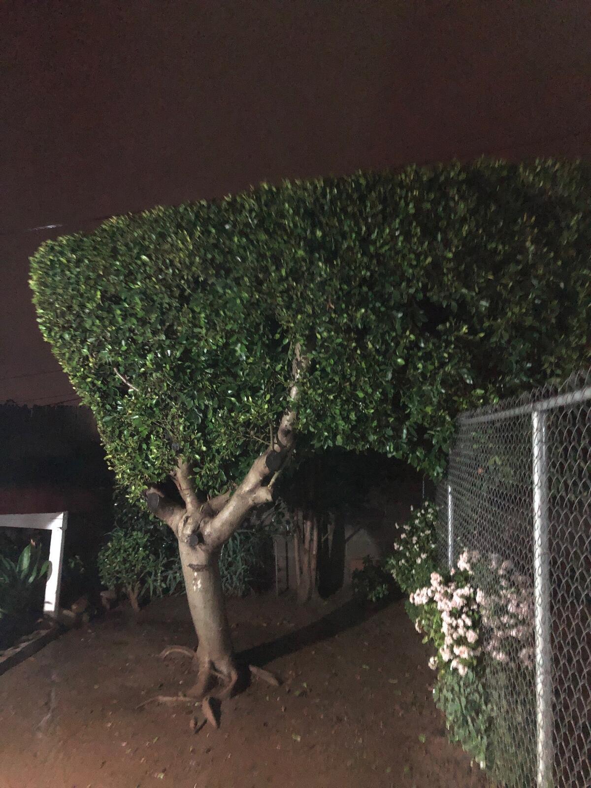 Photo credit: nextdoor