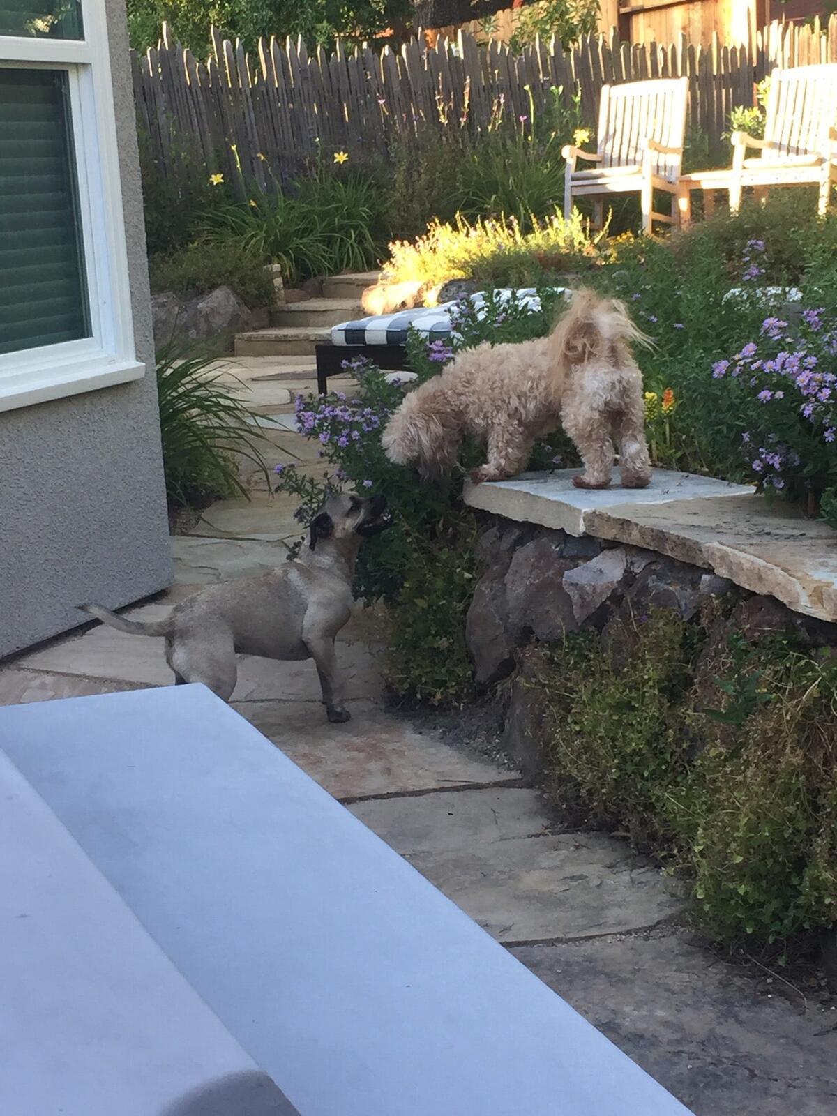 Photo credit: nextdoor