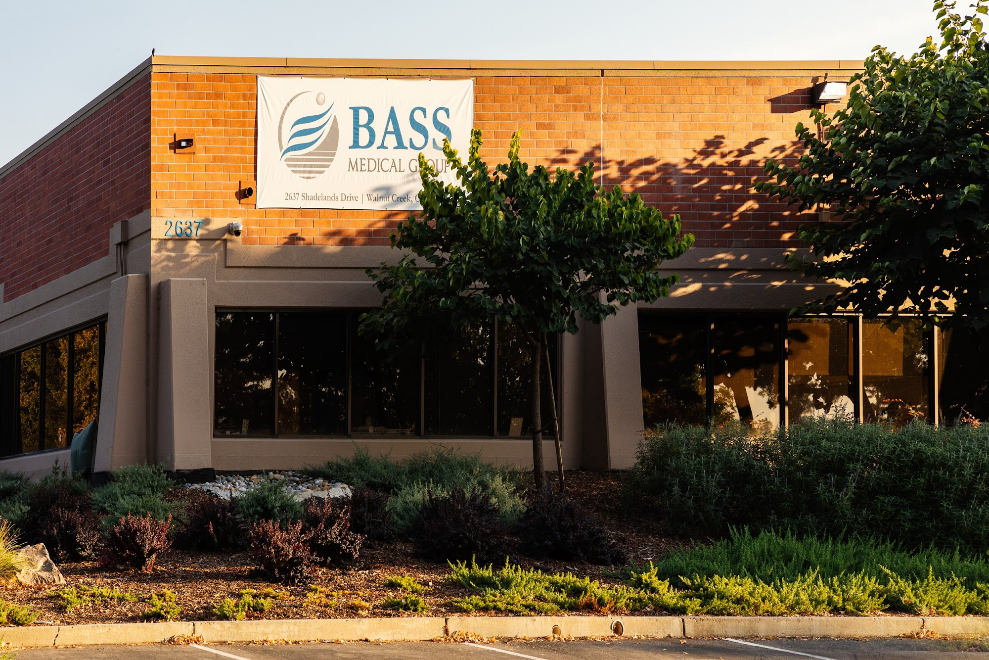 BASS Medical Group