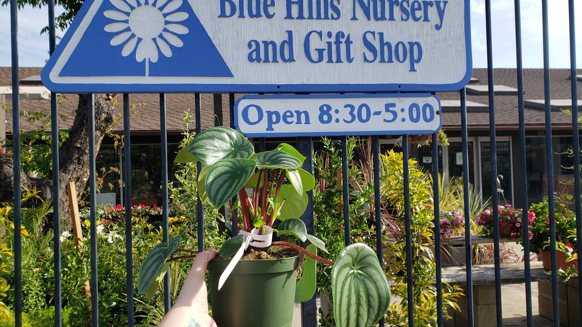 Blue Hills Nursery & Gift Shop