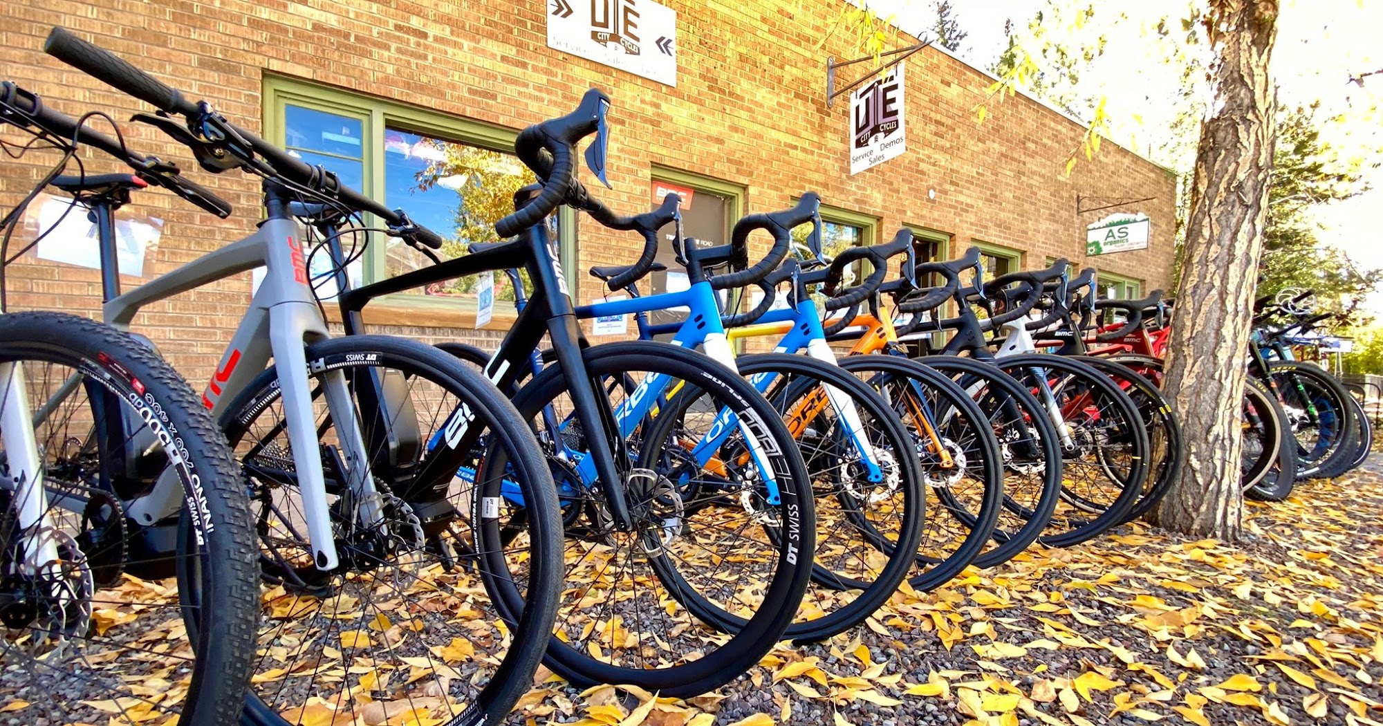 Ute City Cycles