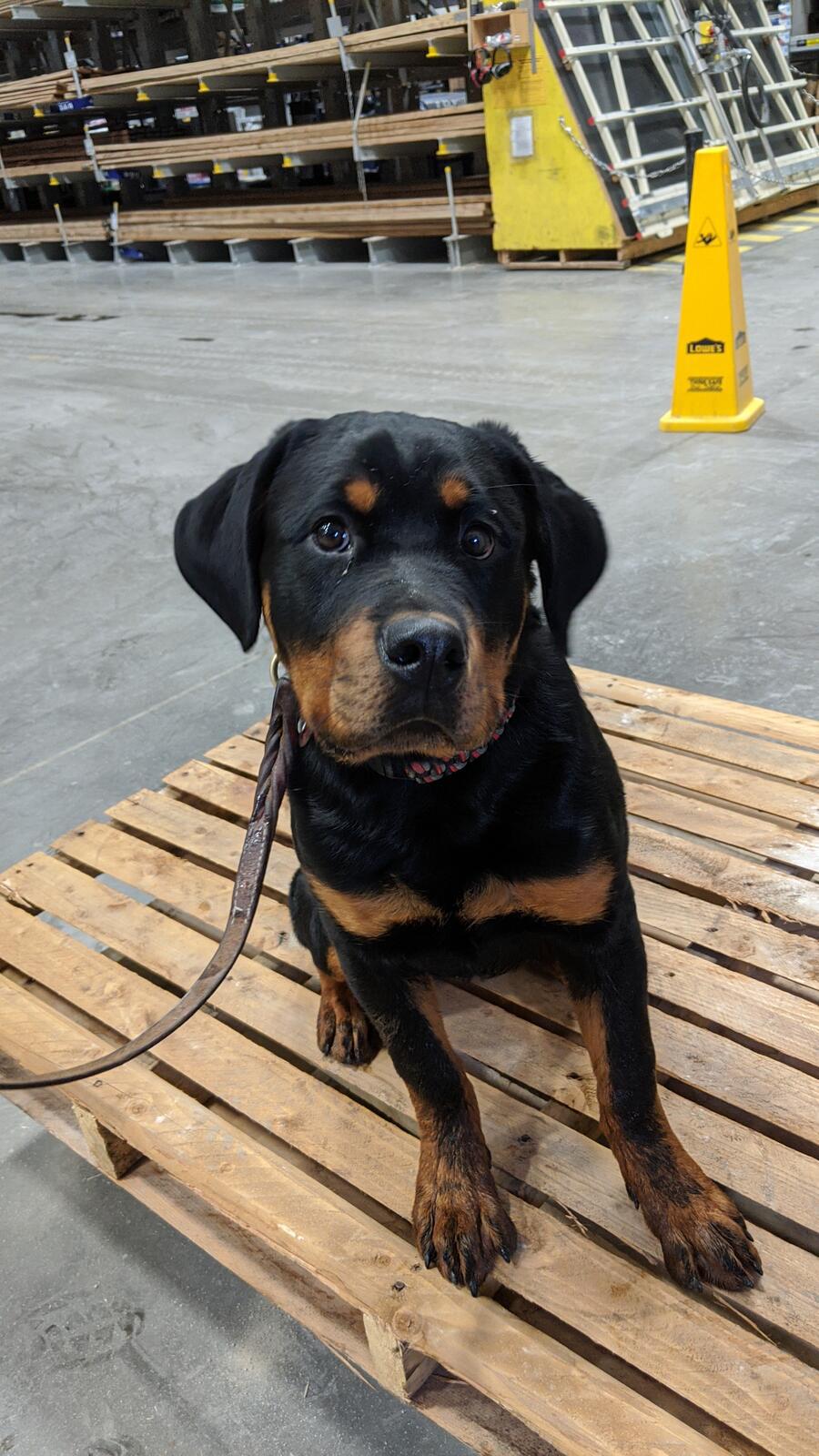 Photo credit: nextdoor