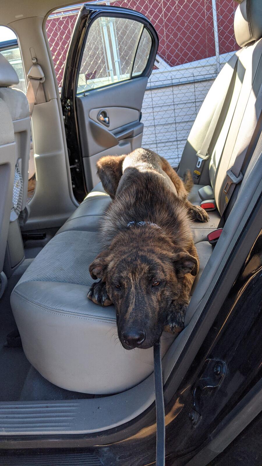 Photo credit: nextdoor