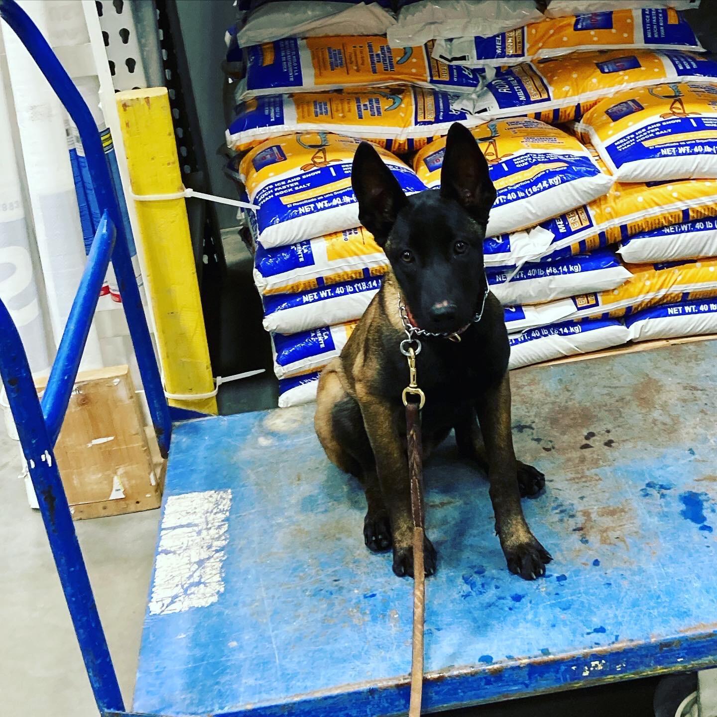 Photo credit: nextdoor