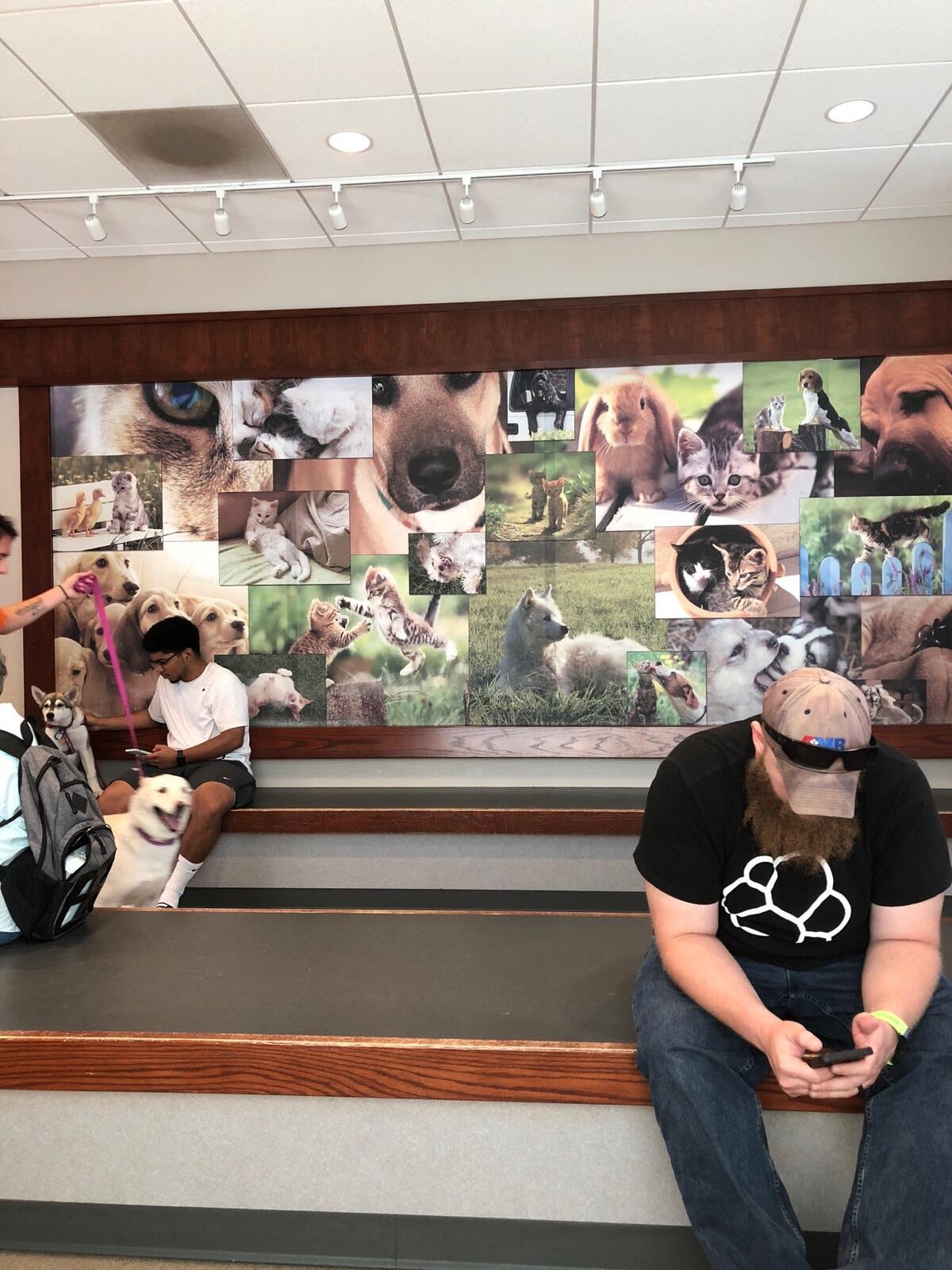HAMLETT SPAY & NEUTER CLINIC - Colorado Springs CO - Hours, Directions ...