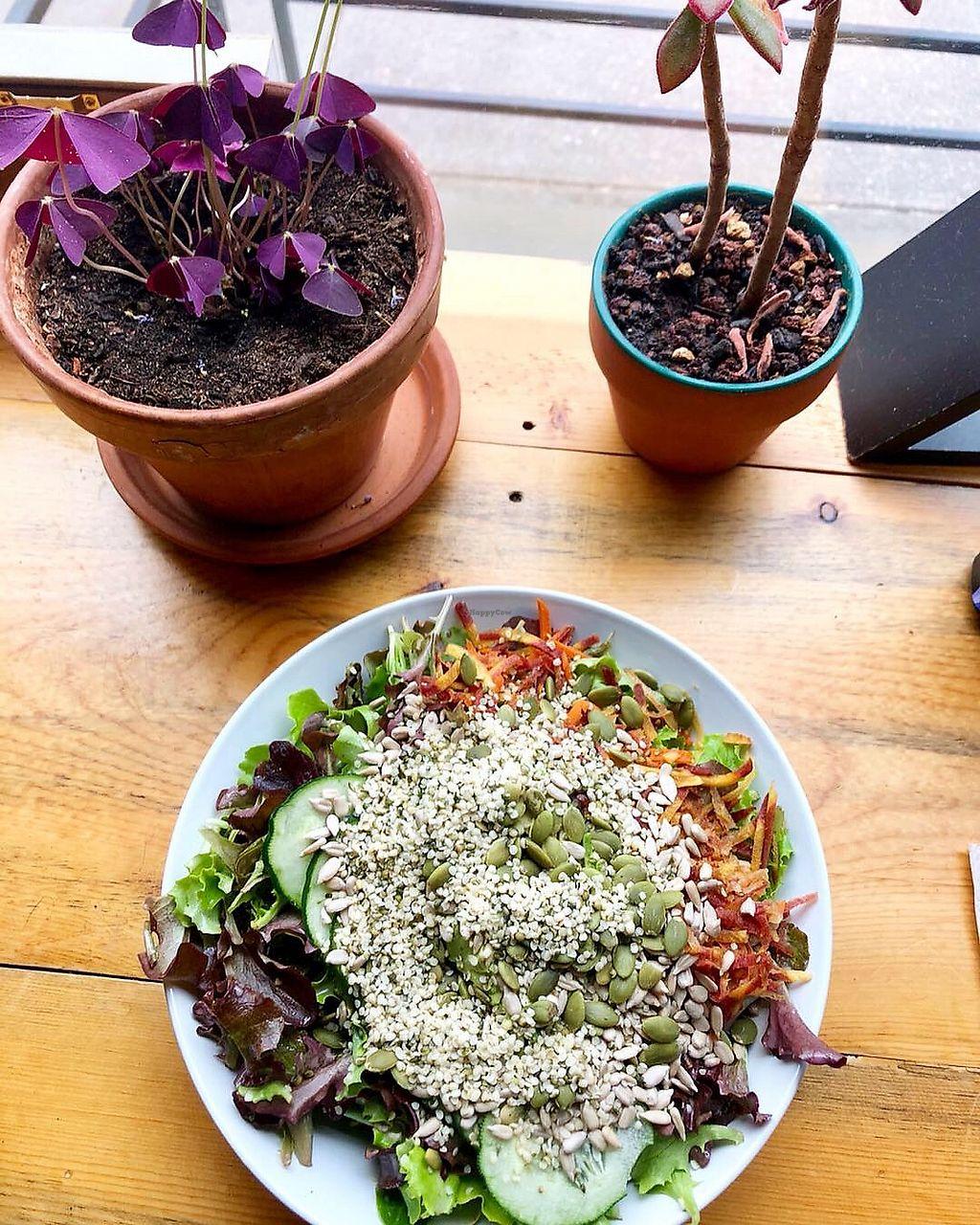 Photo credit: happycow