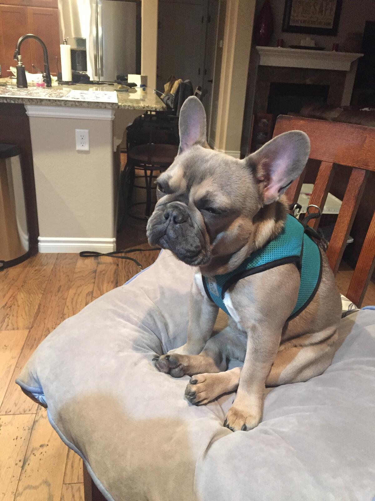 Photo credit: nextdoor