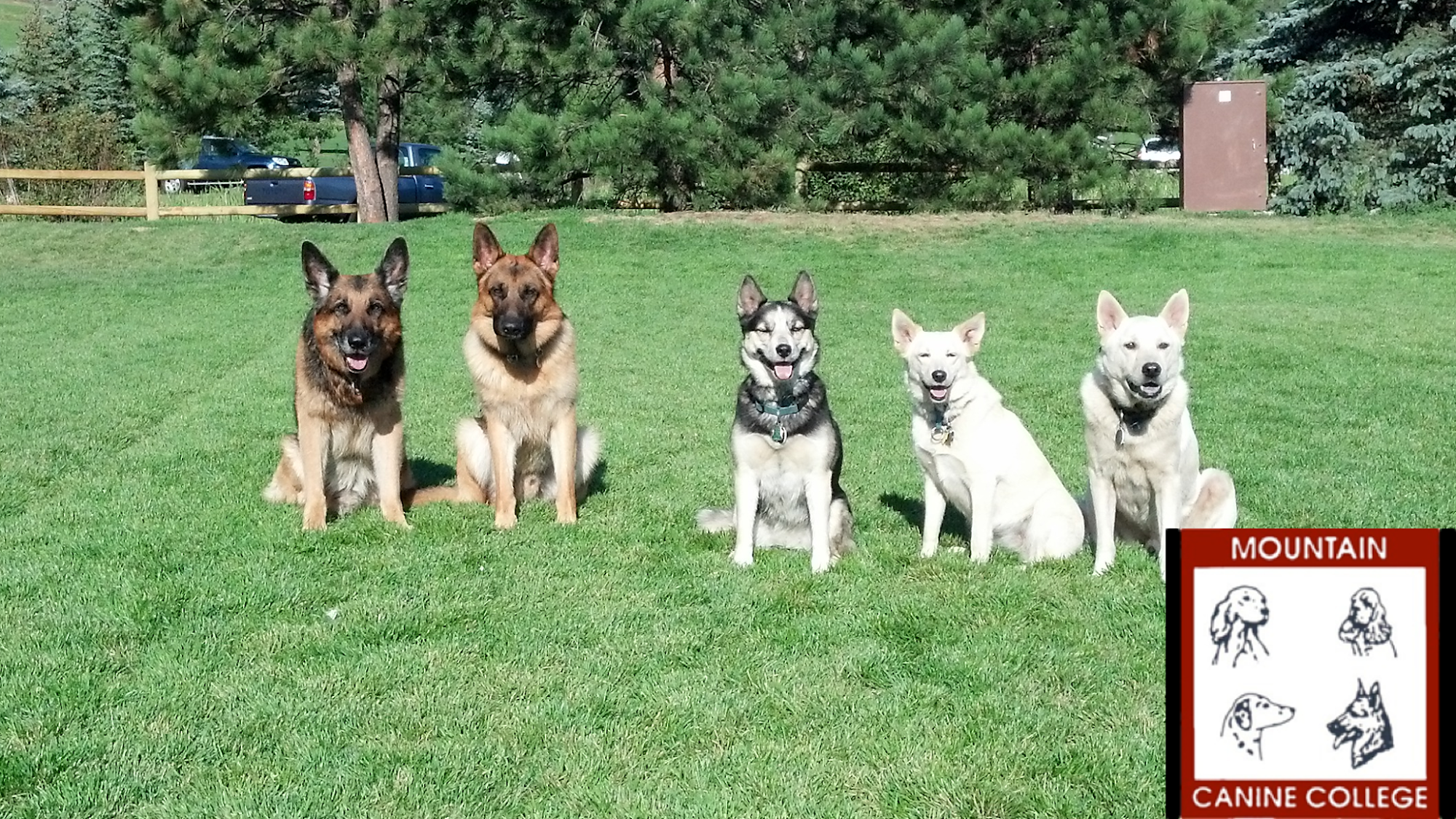 Mountain Canine College