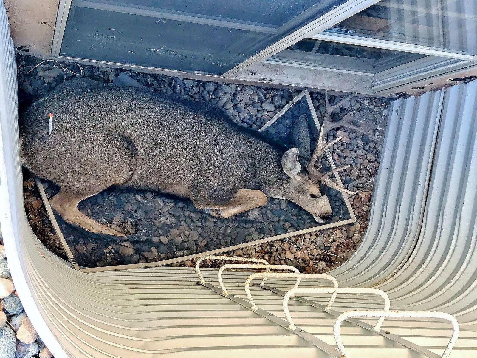 Photo credit: nextdoor