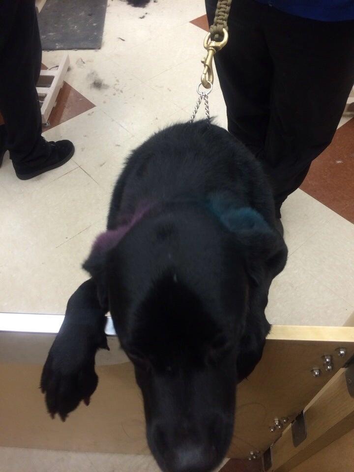 Photo credit: nextdoor