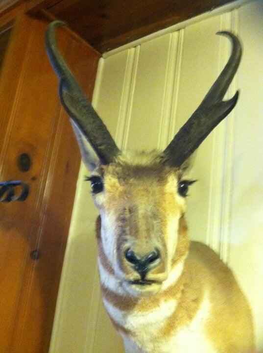 Photo credit: nextdoor
