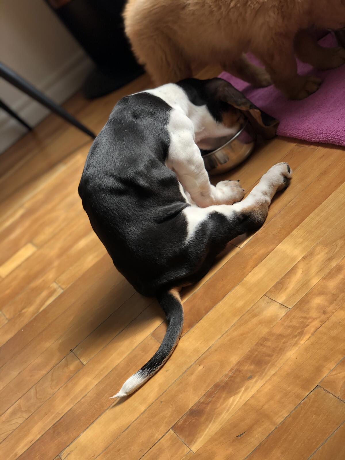 Photo credit: nextdoor