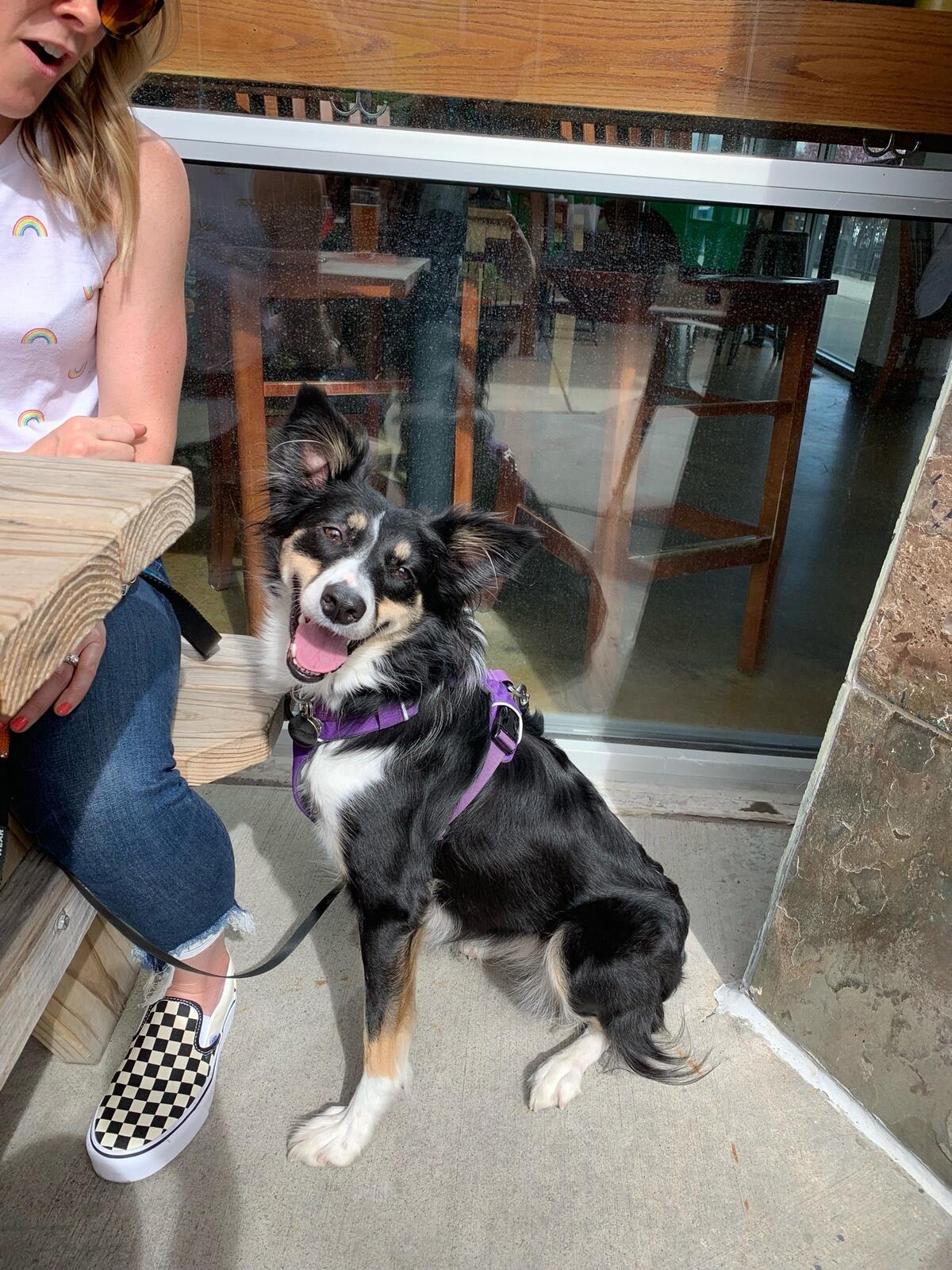 Photo credit: nextdoor