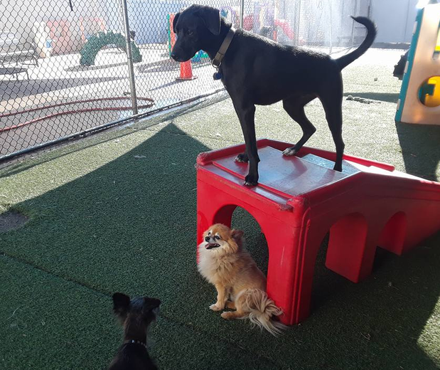 Photo credit: nextdoor