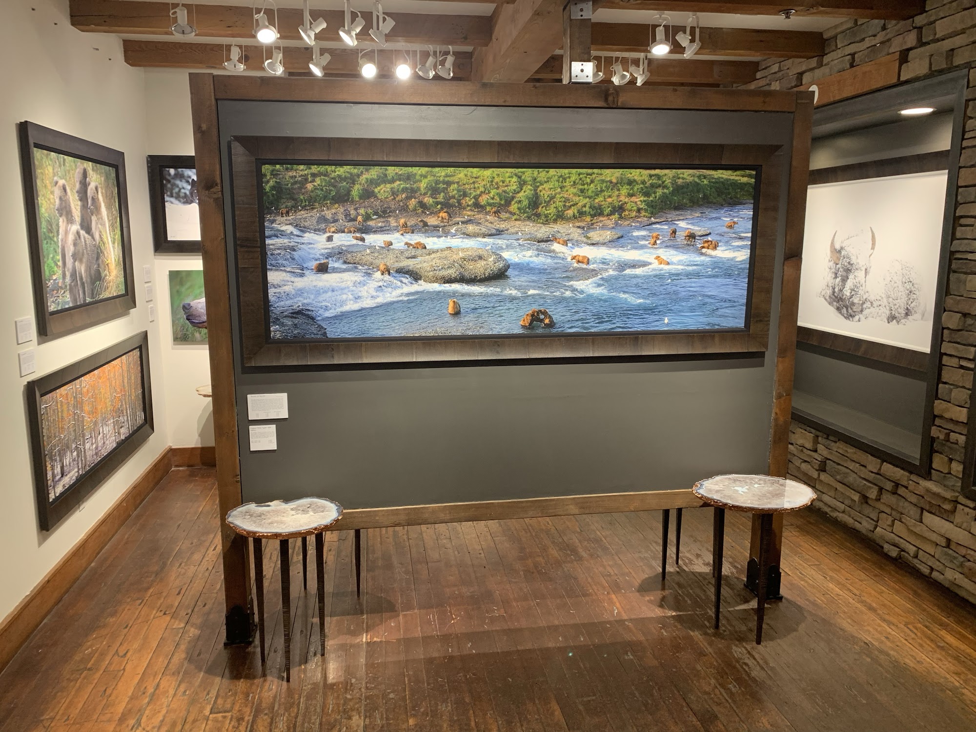 Tony Newlin Gallery at Telluride