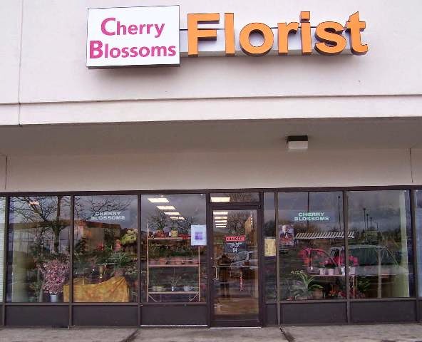 Cherry Blossoms Florist