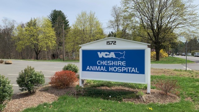 VCA Cheshire Animal Hospital