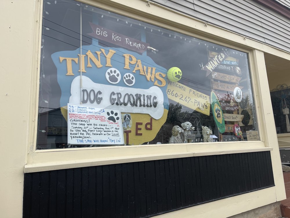 Tiny Paws Dog Grooming 82 Main St, East Hampton Connecticut 06424