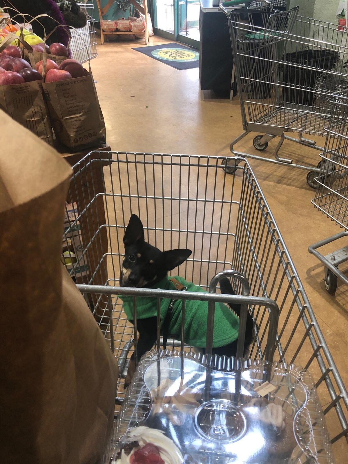 Photo credit: nextdoor