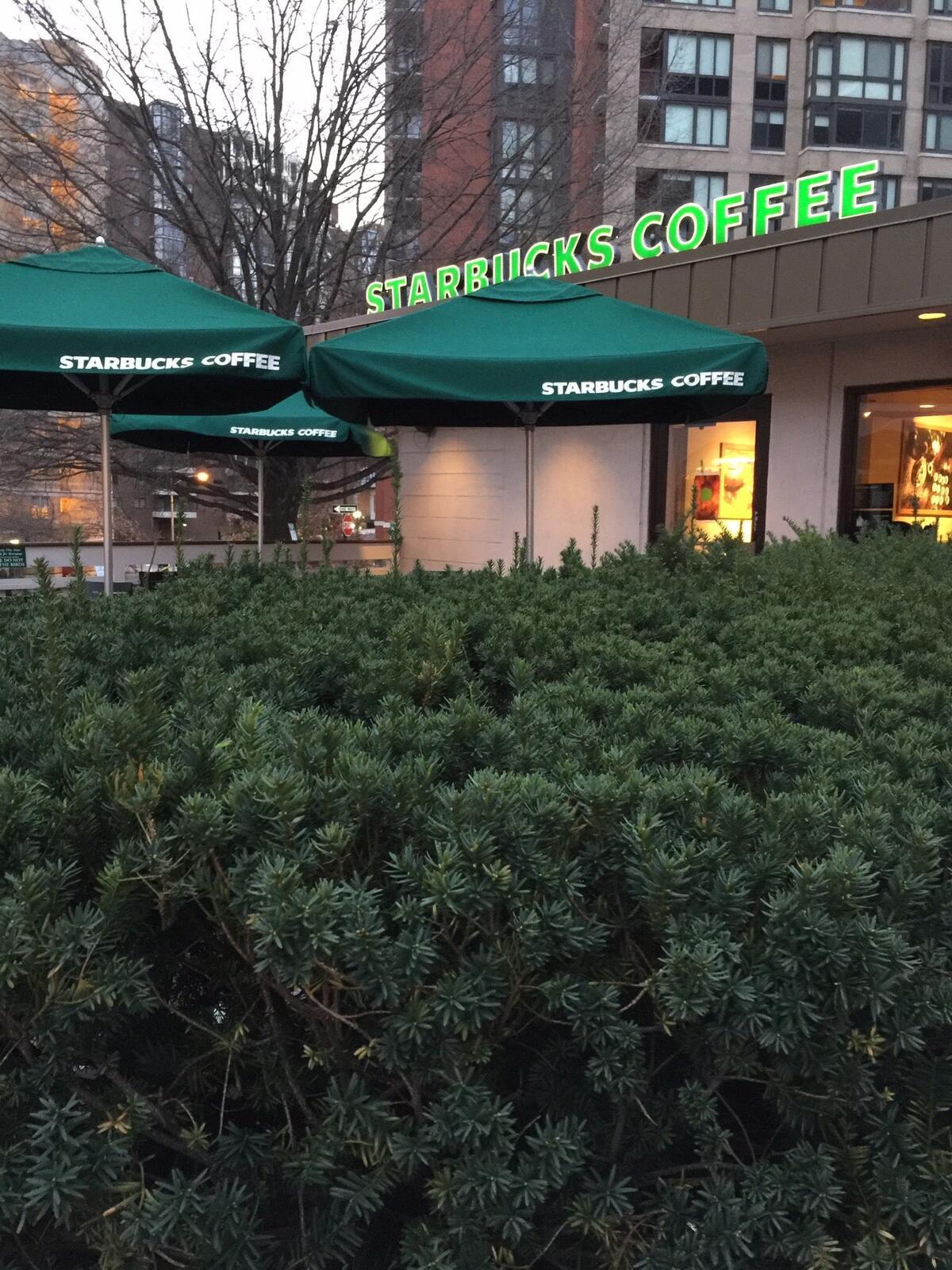Photo credit: nextdoor