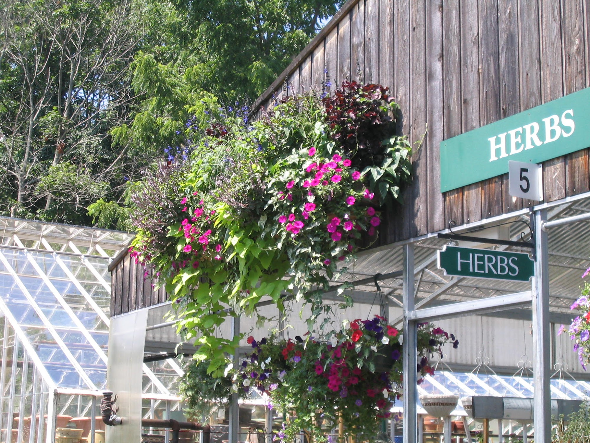 Gilbertie's Herbs and Garden Center